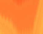 aktuelles