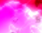 dessous messe