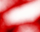 forschung
