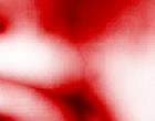 veranstalter
