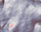 aktuelles