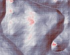 ebay physik