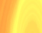 universitt