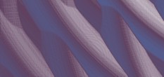 sitemap cmt messe
