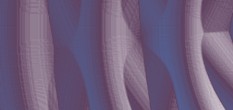 weltelitereport abf messe