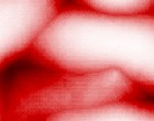 venus messe