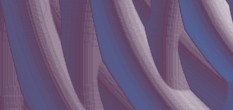 veranstalter