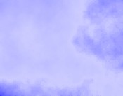 organisation webcam stuttgart