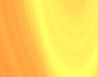 veranstalter