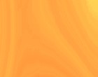 veranstalter