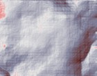 erotic messe kln