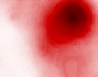 immobilien