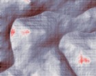 kln