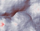 venus messe